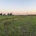 Otopeni, str. Ctin Brancoveanu, ideal investitie, zona noua, intravilan in noul PUG.
