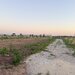 Otopeni, str. Ctin Brancoveanu, ideal investitie, zona noua, intravilan in noul PUG.